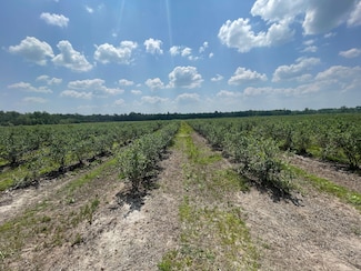 0 W Townline Rd, Free Soil, MI 49411