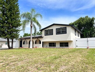 404 Elm Tree Ln, Brandon, FL 33510