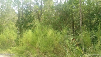 0 Kirchherr Ave, Hastings, FL 32145