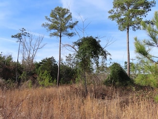 0 S Carolina 215, Winnsboro, SC 29180