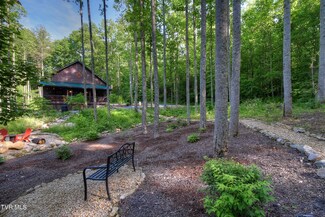 107 Pond Mountain Ln, Hampton, TN 37658