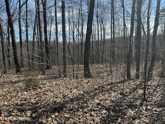 975 County Road 316, Niota, TN 37826