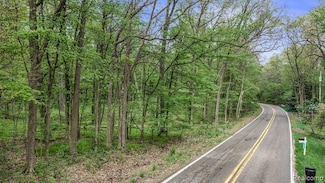 0 Ely Rd, Springfield Township, MI 48350