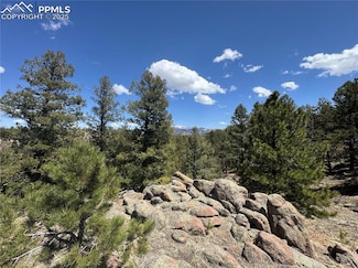 487 Pike View Rd, Florissant, CO 80816