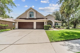 6038 Palomaglade Dr, Lithia, FL 33547