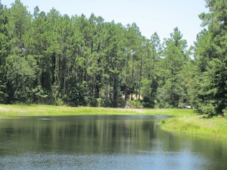 V/L 81, 306 Cumberland Harbour Blvd, St. Marys, GA 31558
