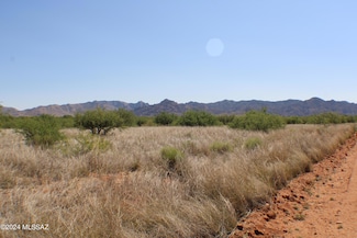 E2 68 E Tom Jeffords Unit LOT 68, St. David, AZ 85630