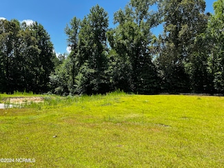 6323 Brassie Dr, Grifton, NC 28530