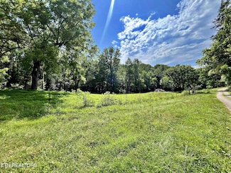 Lot 7 Raby Hollow Rd, Kingston, TN 37763
