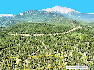 246 Tahosa Park Rd S, Allenspark, CO 80510