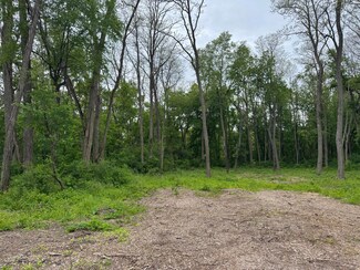 Lt1 Elizabeth Ln, Salem Lakes, WI 53170