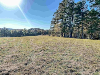 3109 Sunshine Rd, Royal, AR 71968