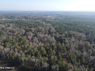 00 Nelson Corner Rd, Roxie, MS 39661