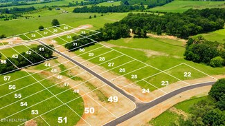 LOT25 5906 John Dr, Greenback, TN 37742
