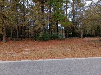 0 Silver King Ave Unit 21031750, Cross, SC 29436