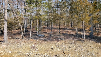 000 Lot 98 Summer Breeze Ln, Kimberling City, MO 65686