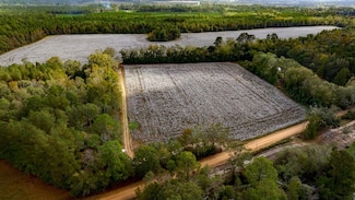 7881 Sinkhole Rd, Statesboro, GA 30458