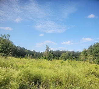 2826 NW 174th St, Newberry, FL 32669