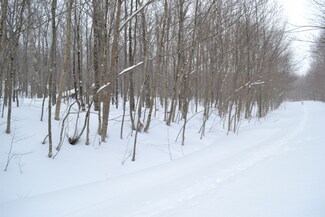 00 Shallow Brook Rd Unit 35, Jay, VT 05859