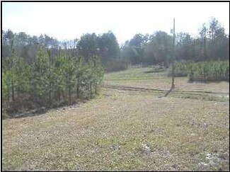 11 Buddy Odom Rd, Thomastown, MS 39171
