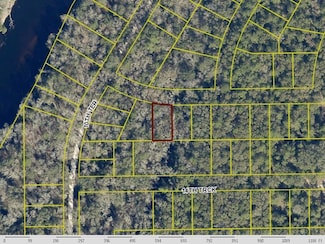 0 Leg Lot 7 Blk 12 Suw River Pa Unit R11005326, Live Oak, FL 32060