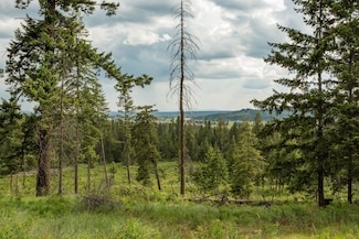 645 Juanita Ln, Elk, WA 99009