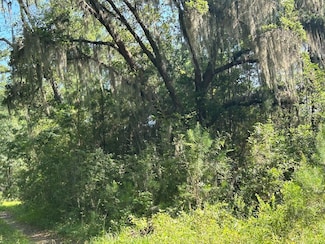 5856 Martin St Unit Lot 1, Ravenel, SC 29470