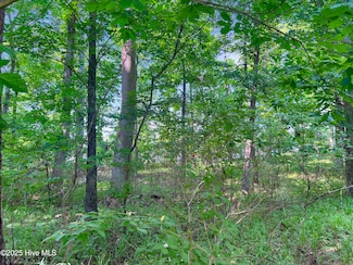 124 Windsong, Edenton, NC 27932