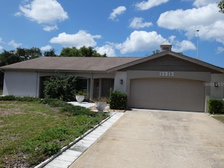 12313 Larkinwood Ln, Hudson, FL 34667