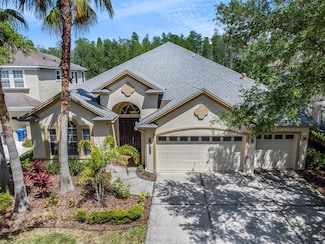 8334 Old Town Dr, Tampa, FL 33647