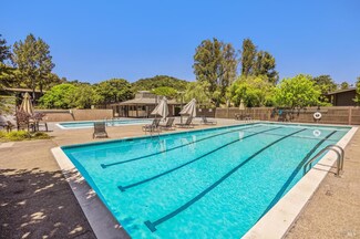 29 Forest Ln, San Rafael, CA 94903