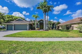 8112 Maidencane Dr, Trinity, FL 34655