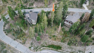 0 Palisades Dr Unit 224099550, Kirkwood, CA 95646
