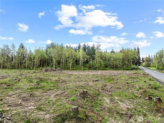 4949 Jackson Hwy, Toledo, WA 98591
