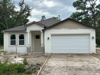 8149 Cashew Dr, Webster, FL 33597