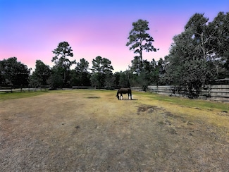 3850 Acorn Ln, Porter, TX 77365