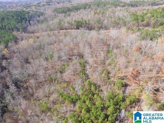 385 Carr Rd, Alpine, AL 35014