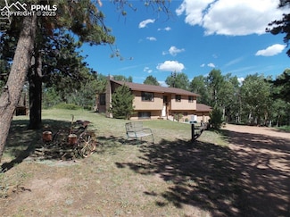 171 Broken Wagon Rd, Woodland Park, CO 80863