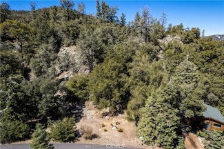 1301 Bernina Dr, Pine Mountain Club, CA 93222