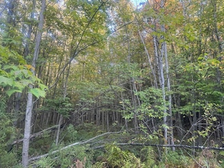 W14903 Sandtown Rd, Engadine, MI 49827