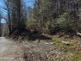 0 Melvin Hollow Rd Unit 1305410, Pioneer, TN 37847