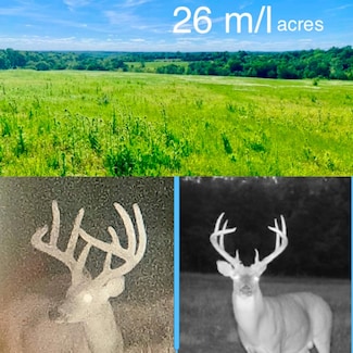 002 Tbd Lazy Acres Rd, Protem, MO 65733