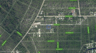 1415 Wisteria St, Lake Placid, FL 33852