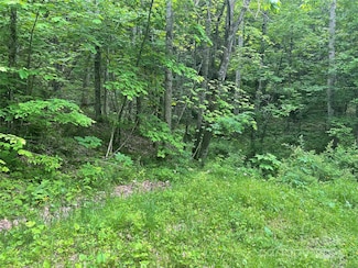 34 Buckeye Creek Rd, Beech Mountain, NC 28604