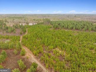 0 Blue Springs Rd Unit 10558595, Sylvester, GA 31791