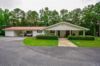 3280 Double Bridge Ferry Rd, Eclectic, AL 36024