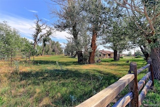 3225 E 124th Ave, Thornton, CO 80241