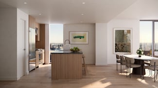 89 Dekalb Ave Unit 14G, Downtown Brooklyn, NY 11201