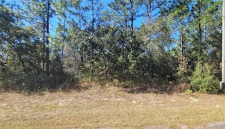 8622 N Empire Ave, Citrus Springs, FL 34433