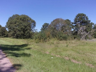 4586 W Morris St, Jasper, TX 75951